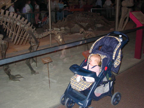 2003 March 26 Jane looking at dinosaur.jpg